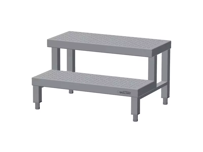 Opstap 2 treden RVS 700x500x200/400 mm